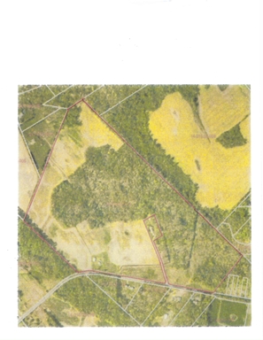 Sold Property Townsend, Delaware