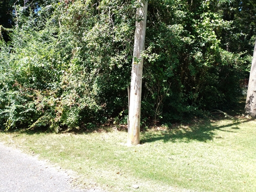 Lot/Land for sale Laurel, Delaware
